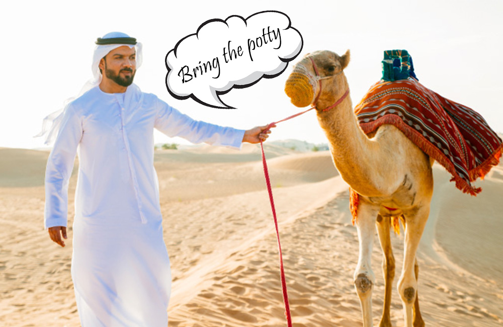 arab and his camel